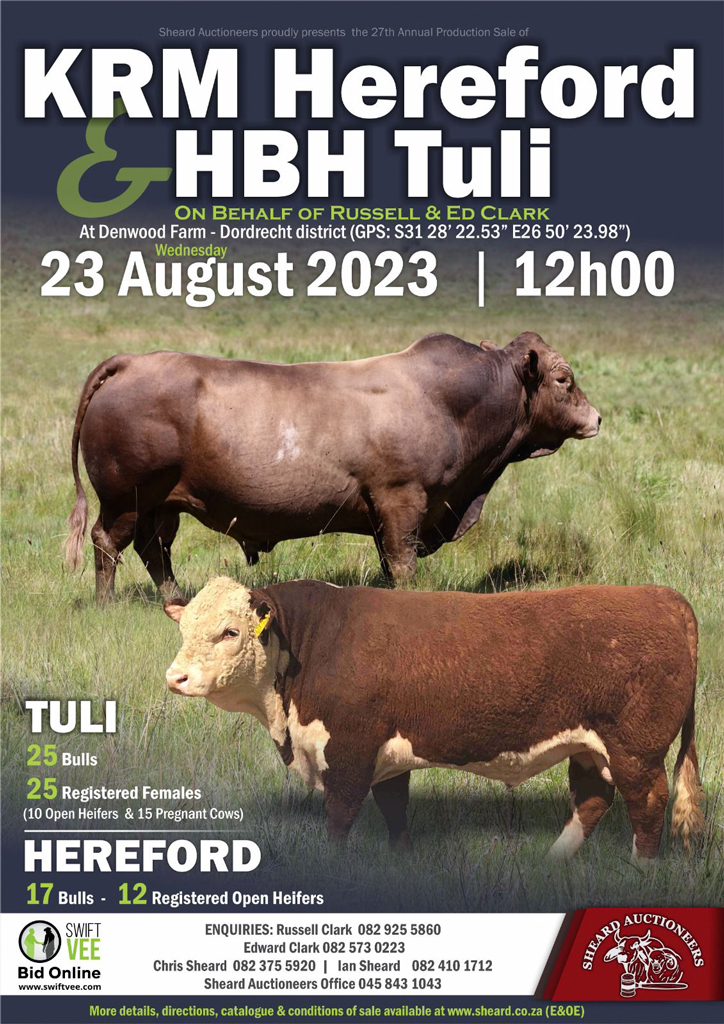 HBH Tuli Production Sale